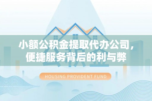 泸州小额公积金提取代办公司，便捷服务背后的利与弊