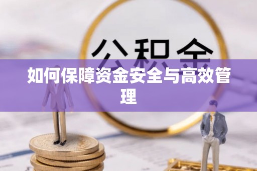 泸州如何保障资金安全与高效管理