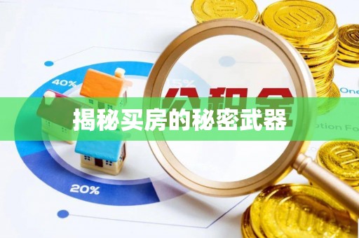 泸州揭秘买房的秘密武器