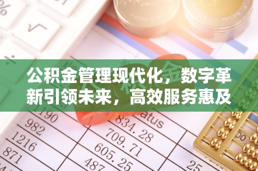 泸州公积金管理现代化，数字革新引领未来，高效服务惠及民生