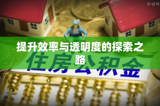 泸州提升效率与透明度的探索之路