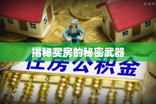 泸州揭秘买房的秘密武器