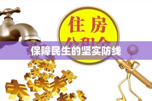 泸州保障民生的坚实防线