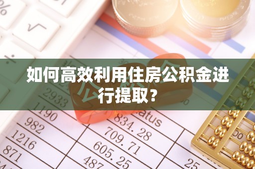 泸州如何高效利用住房公积金进行提取？