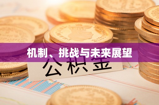 泸州机制、挑战与未来展望